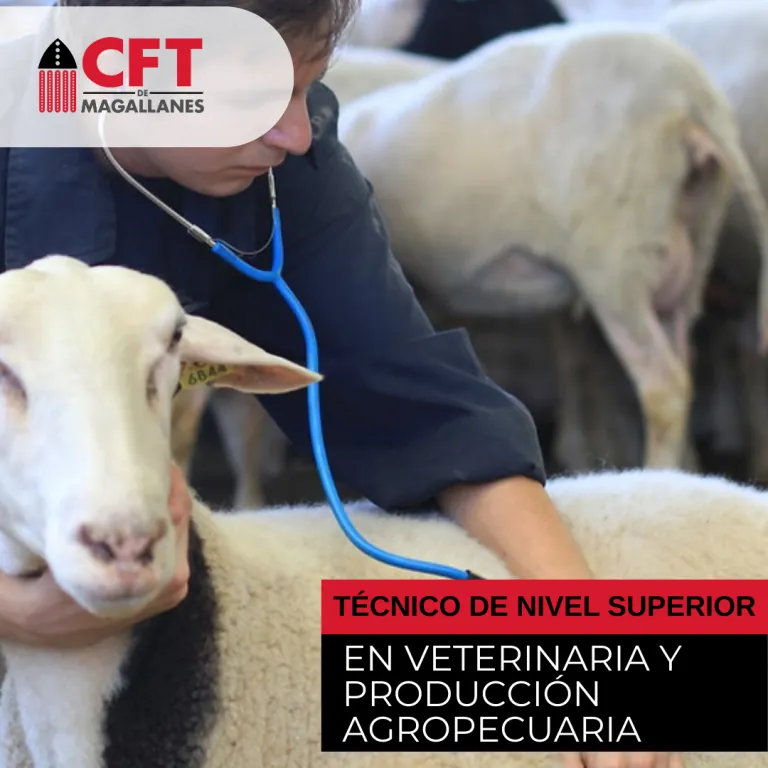Estudiantes de Veterinaria y Producción Agropecuaria